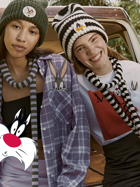 5 LOONEY TUNES BOX DESKTOP Maxandco